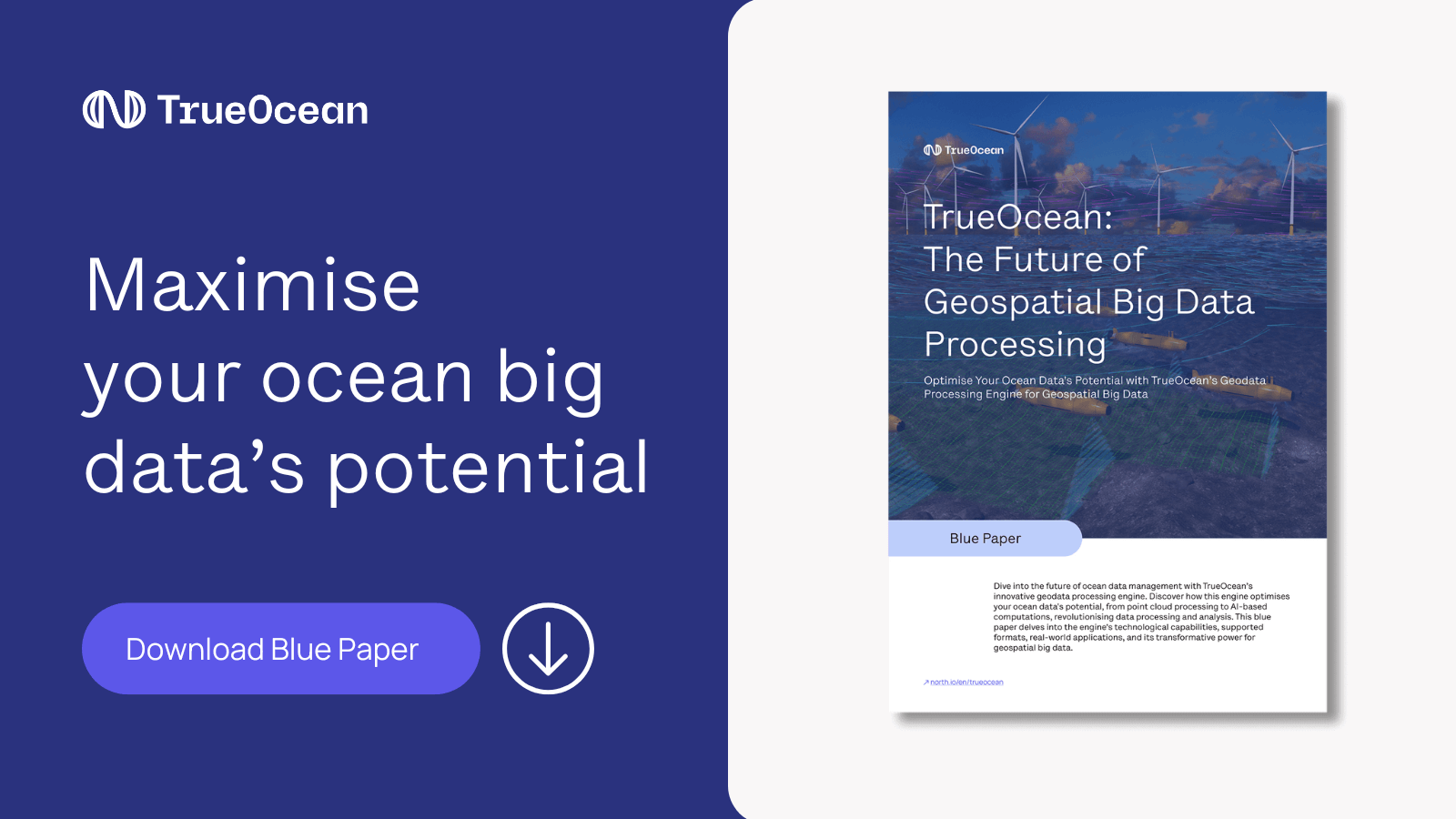 Bluepaper_Big Data_Featured_Image