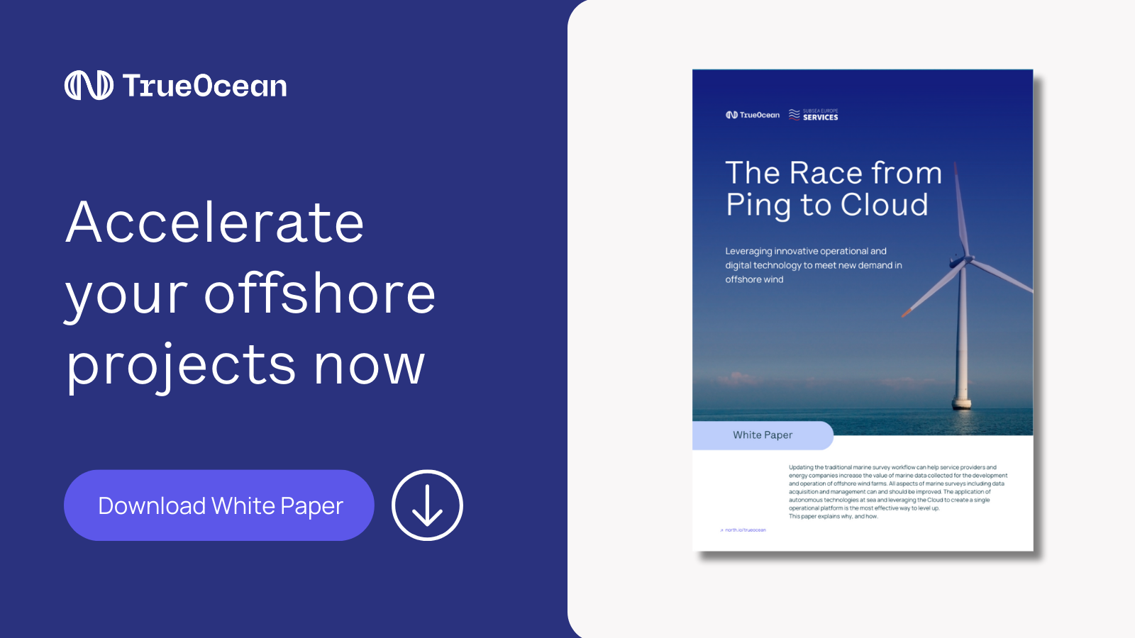 Whitepaper: The Race from Ping to Cloud